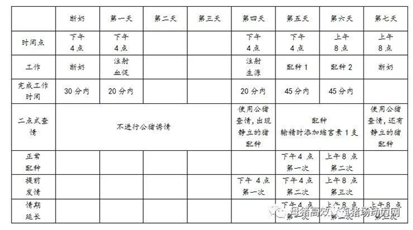 中国电子游艺网站下载安装
