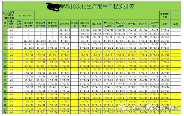 中国电子游艺网站下载安装
