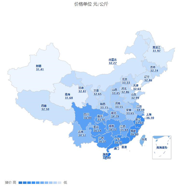 中国电子游艺网站下载安装