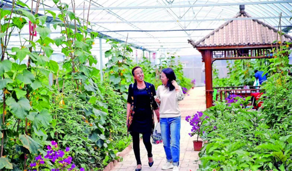 培育壮大农民合作社和家庭农场