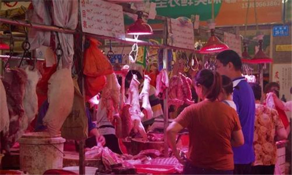 2月1日猪事浅谈：电子游艺平台价格太高，你还吃得起吗？