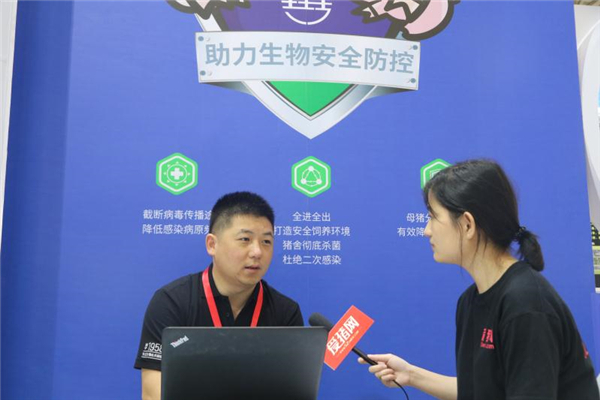 母猪批次化生产知多少?