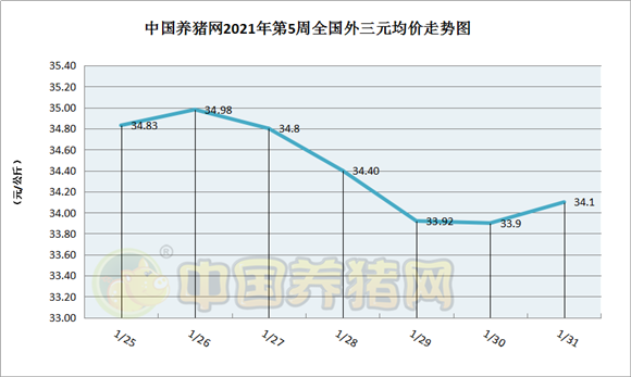 中国电子游艺网站下载安装
