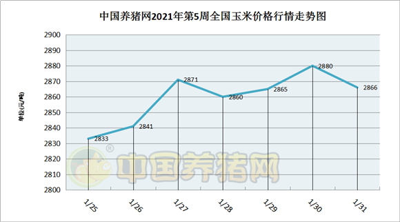 中国电子游艺网站下载安装