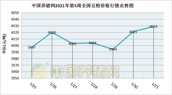 中国电子游艺网站下载安装