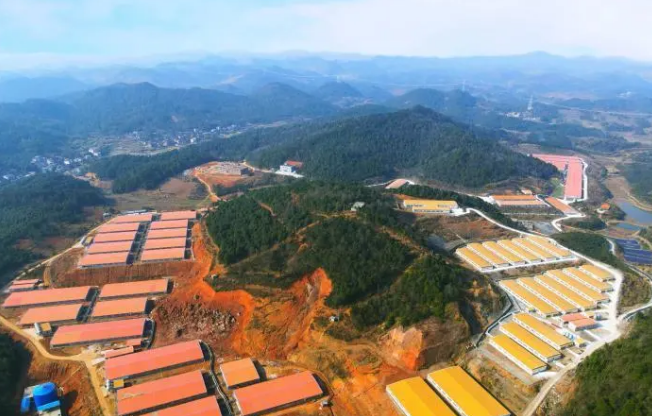 湘村黑猪养电子游艺网站
外景