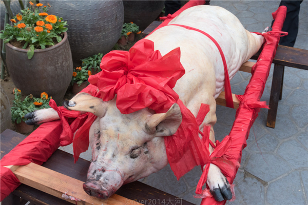 年猪叫，新年到，猜猜看这些习俗属于南方还是北方？