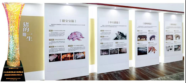 安佑荣获“2020年十大无抗替抗技术创新企业”称号