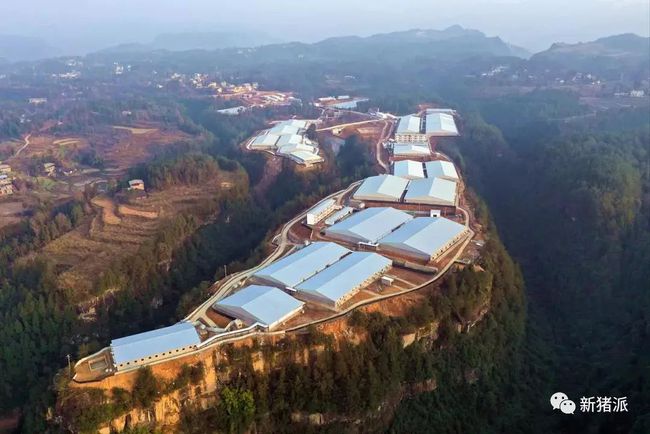 蓝润集团五仓农牧红光项目