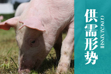 2022年05月中国农产品（玉米、大豆）供需形势分析