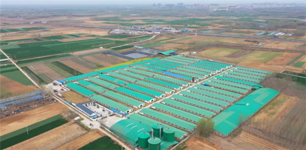 养电子游艺网站
建设容易犯的错，早知道早避雷