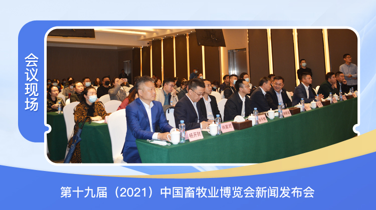会议现场
