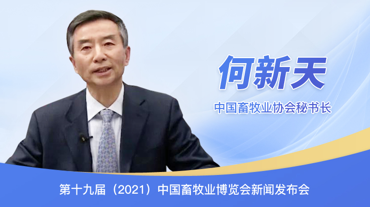 中国畜牧业协会秘书长 何新天