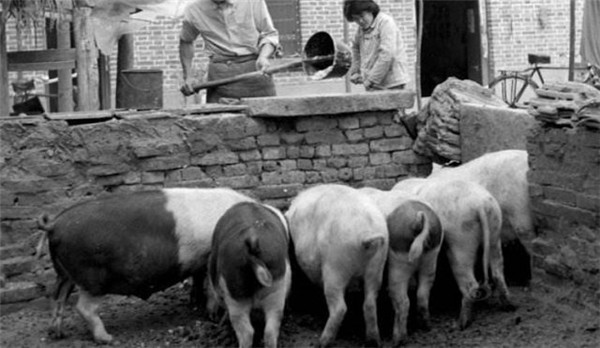 中国电子游艺网站下载安装