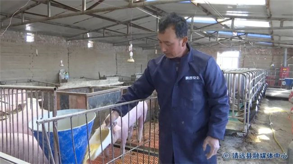 中国电子游艺网站下载安装