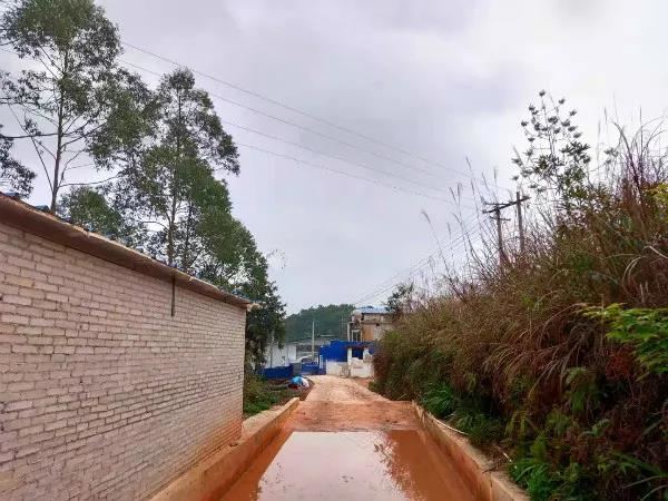 （电子游艺网站
大门前的消毒池）