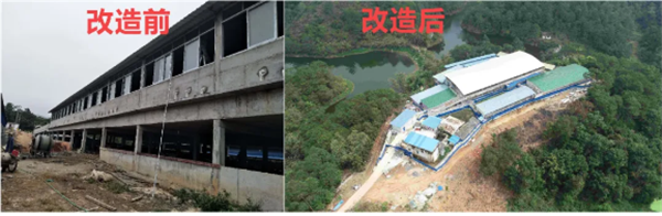 （电子游艺网站
改造前后对比图，“铁桶”改造后防控非常严密）