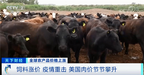 美国玉米大豆价格飚至7年最高水平，饲料成本上涨70%，阿根廷食品价格翻番......