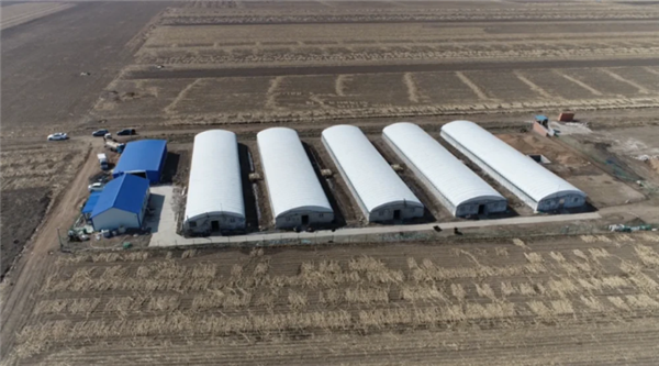 公主岭农民王冠明的养猪致富路