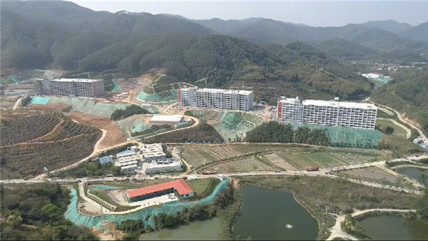 金农电子游艺网站
