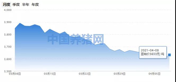 利好！豆粕价格上扬，离大涨不远了？