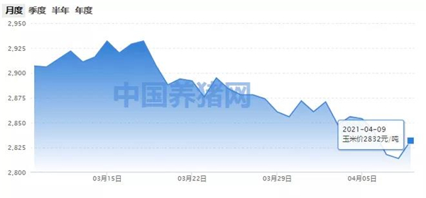 玉米价格止跌上扬！市场恐慌情绪得到缓解！