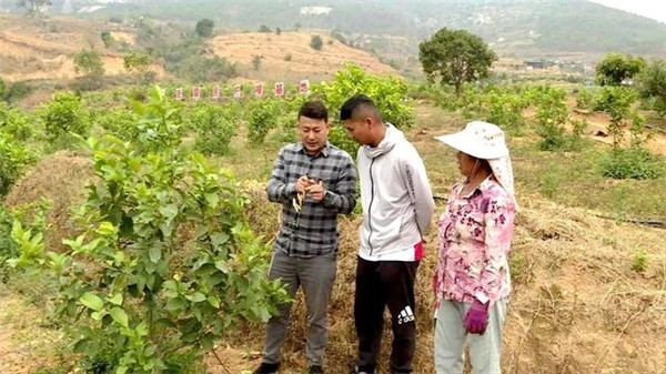 中国电子游艺网站下载安装