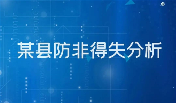 某县防非得失分析