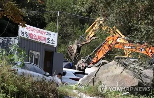 时隔近两年，韩国再爆非瘟家猪感染