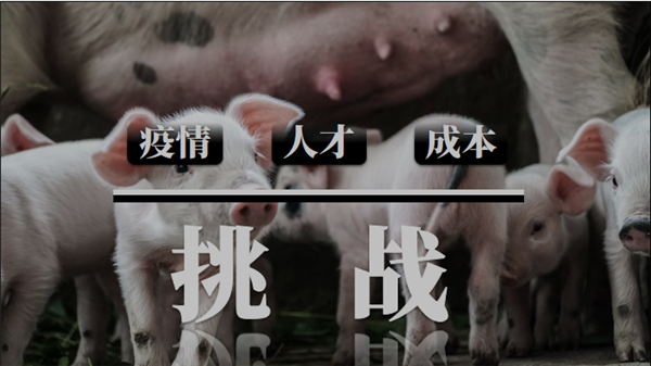 智能化、数字化将为畜牧行业带来什么样的新面貌？
