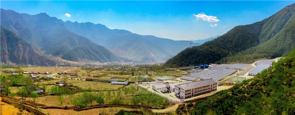 蝶变！从“贫困村”到“亿元村”