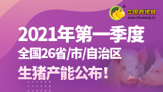 2021年第一季度全国26省/市/自治区生猪产能公布