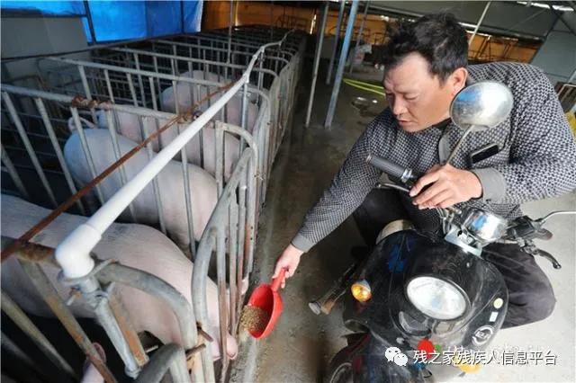 村民李康：身残志坚 养猪致富