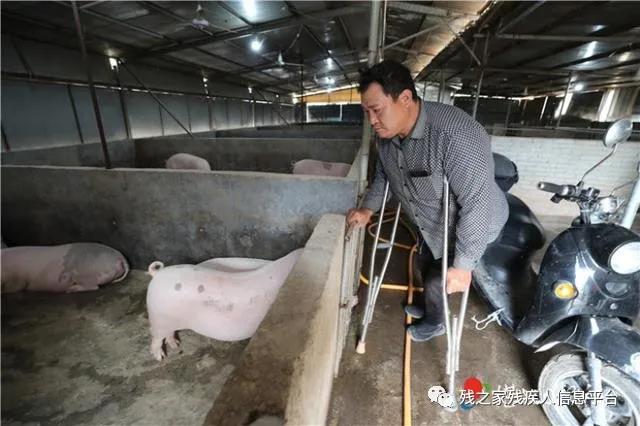 中国电子游艺网站下载安装