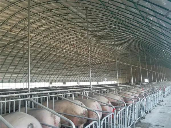 中国电子游艺网站下载安装
