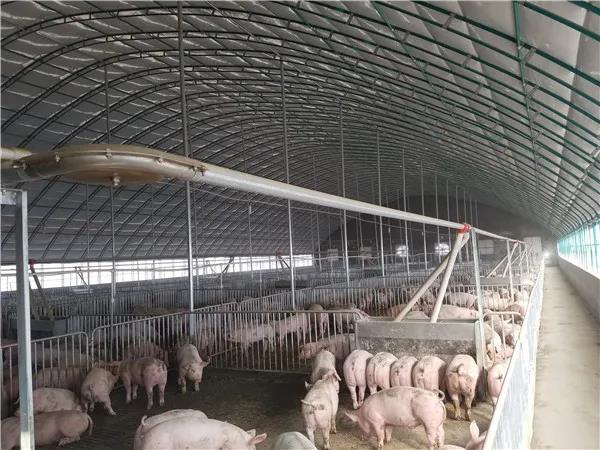 中国电子游艺网站下载安装
