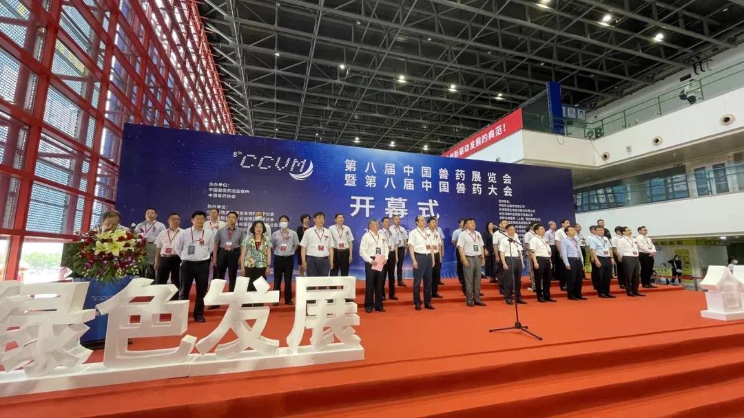 中国电子游艺网站下载安装
