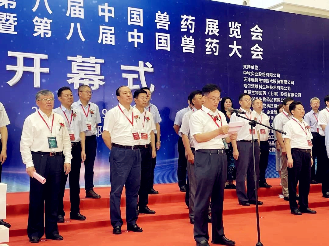 中国电子游艺网站下载安装
