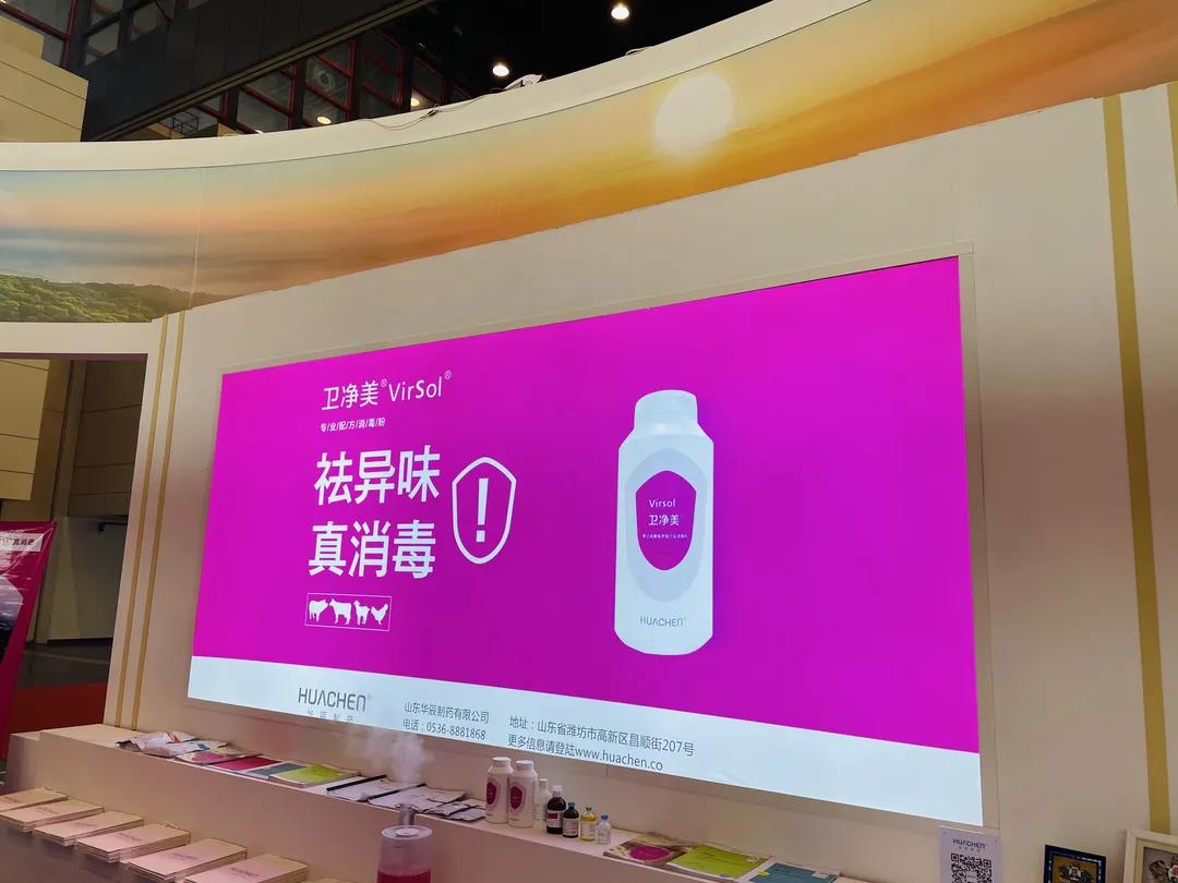 中国电子游艺网站下载安装
