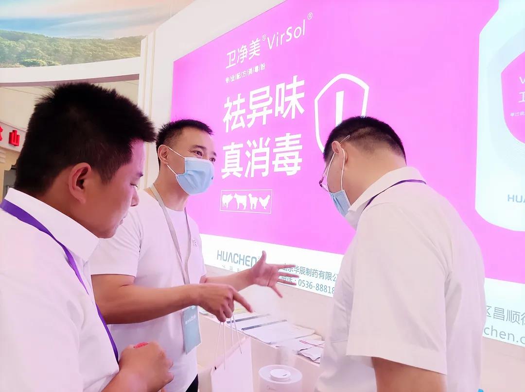 中国电子游艺网站下载安装
