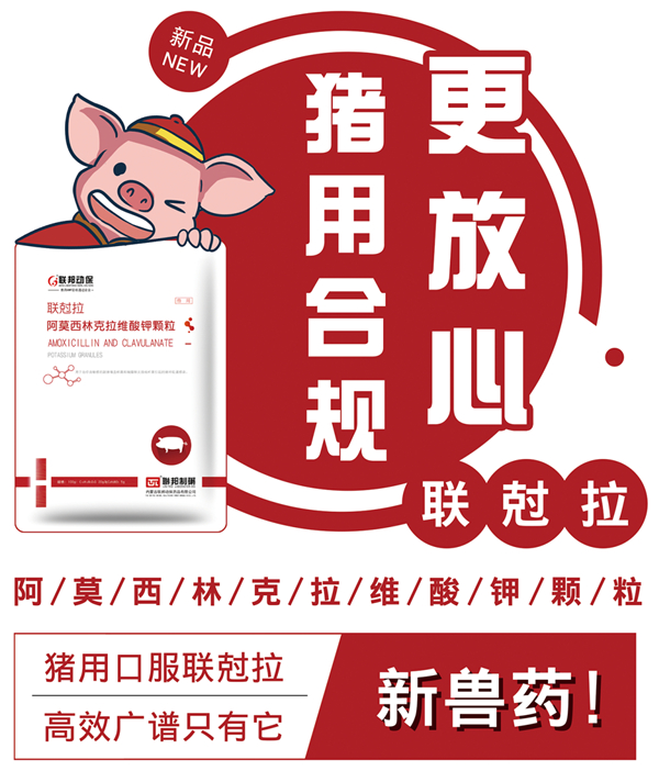 中国电子游艺网站下载安装
