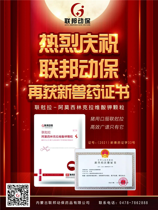中国电子游艺网站下载安装
