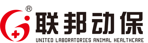 中国电子游艺网站下载安装
