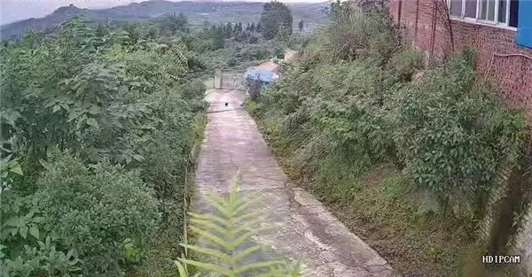 中国电子游艺网站下载安装
