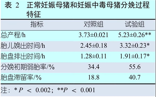 中国电子游艺网站下载安装
