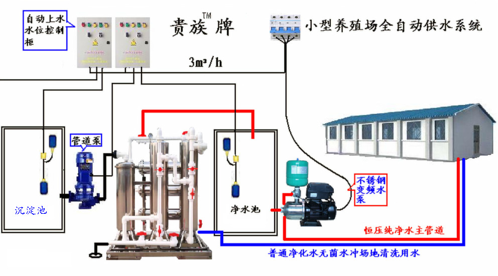 中国电子游艺网站下载安装