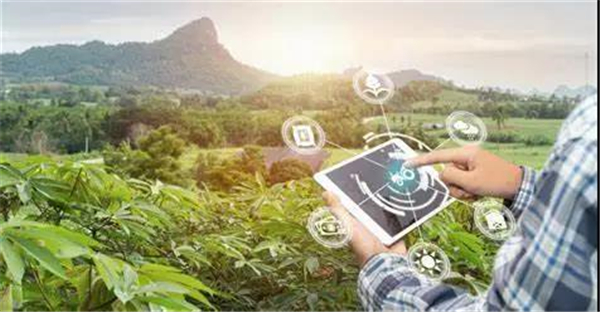 中国电子游艺网站下载安装
