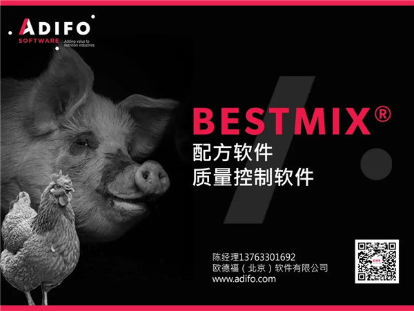 中国电子游艺网站下载安装
