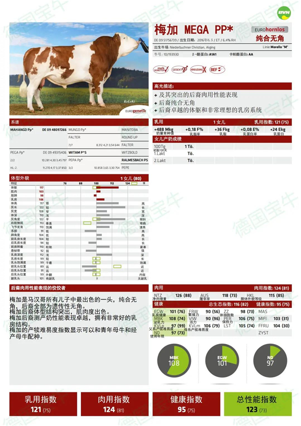 中国电子游艺网站下载安装
