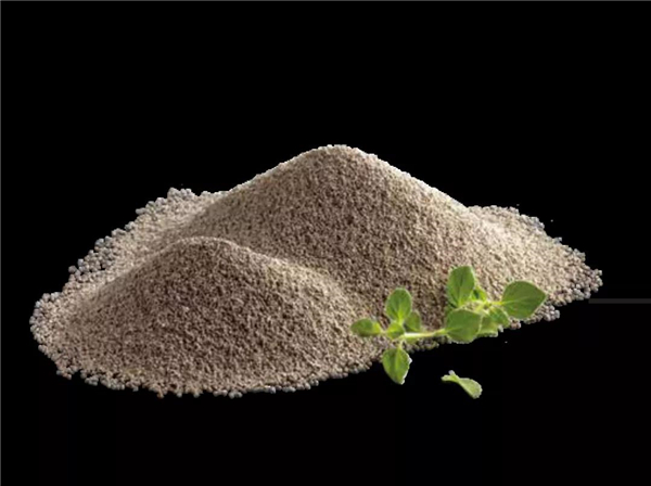 中国电子游艺网站下载安装
